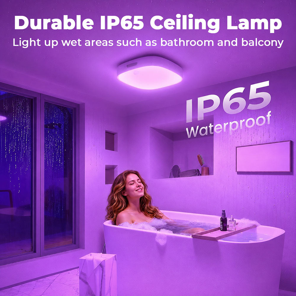 Ambilit™ RGB Ceiling Light